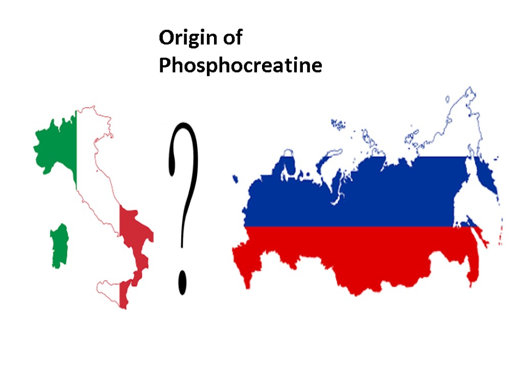 Origin of Phosphocreatine